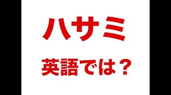 英語好き Youtube
