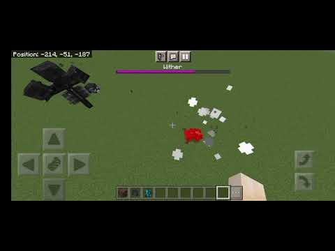 Wither Vs Warden | Minecraft 1.19