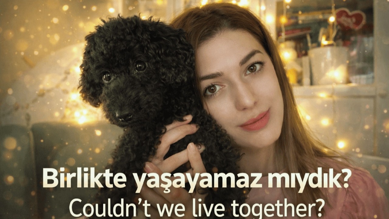 Не могли бы мы жить вместе? | Смерть Матмазель и реальность уличных животных