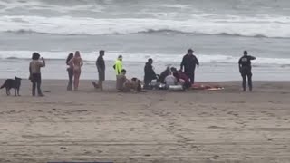 US man dies after rescuing dog at San Francisco beach, animal survives