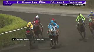 Vidéo de la course PMU PREMIO LADY FOX