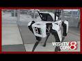 Robot security dog to provide extra layer of security at Indianapolis 500