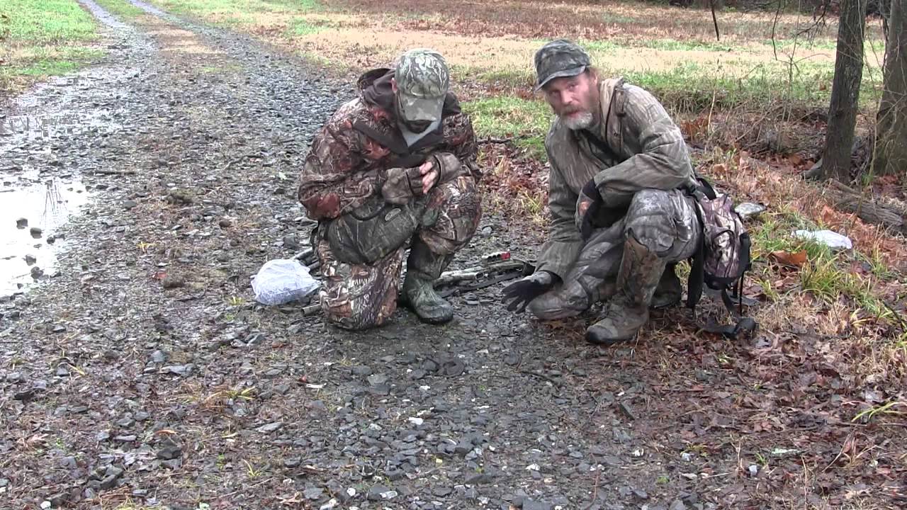 amphibians nedir Maryland Winter Herping