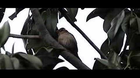 Casio EX F1: prova slow motion a 600 fps