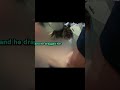 Bodycams Released in Meth-Fueled Hit-and-Run #midwestcrime