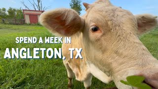 A Week in Angleton, TX | Galveston Day Trip, Family Fun & Country Living Wealth