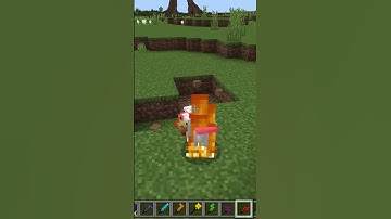 Minecraft X Tetris  - Tetris Weapon Display