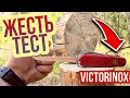 ТЕСТ Пилы Швейцарского Ножа VICTORINOX 91мм в ЖЕСТКИХ Условиях на ЧТО СПОСОБНА?