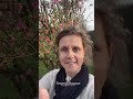 Illumine ta journée