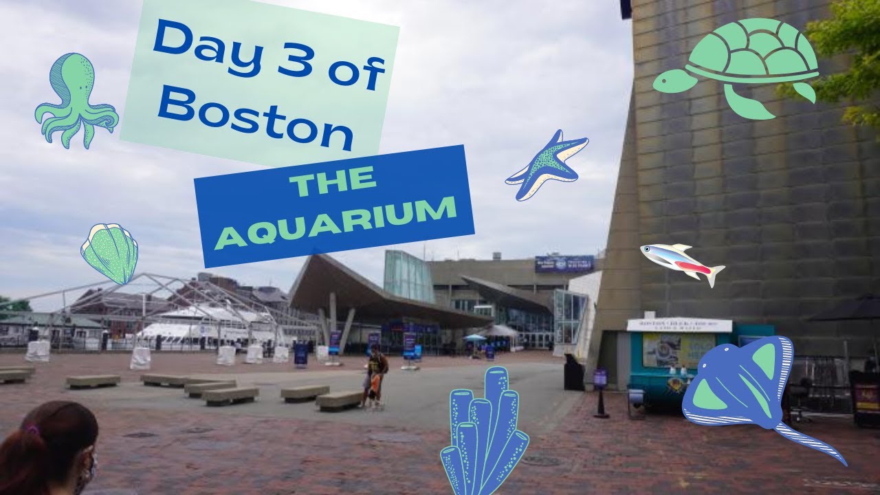 Day 3 of Boston trip: The Boston Aquarium in 4k - YouTube