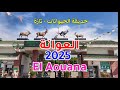 العوانة جيجل 2025 El Aouana Jijel 