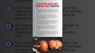 5 datos que no sabias del huevo #ciencia #sabiasque #naturaleza #salud #datoscuriosos #habitos #tips