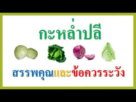 วีดีโอ: นักวิจัย - นี่ใคร? ความรับผิดชอบของผู้เชี่ยวชาญ ความแตกต่างจากนายหน้า