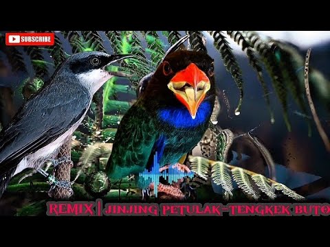 remix mewah kejam | tengkek buto \u0026 jinjing petulak
