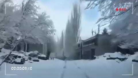 BZU University Multan tour trip to Nar