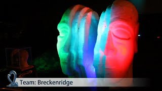 2014 Snow Sculpture in the Dark - Summary