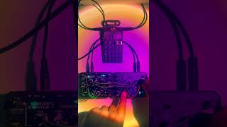 Broken Beats & Glitchy Textures | Bastl Wave Bard + FX Wizard Jam