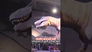 How Big Was the Supersaurus Imagine a Dinosaur as Long as Three Buses! #kidsvideo #dinosaurs