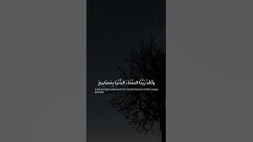 سورة الملك - ولقد زينا السماء الدنيا بمصابيح - حالات واتس