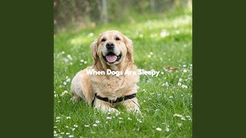 Pulsating Backdrops for Spirited Flow