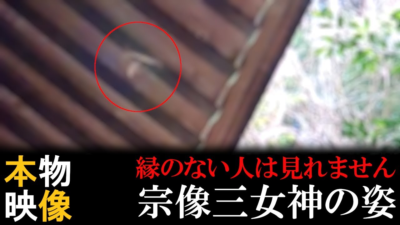 ⚠️神回※もし逃したら二度とありません※宗像三女神様が降臨しました｜八幡神社総本宮大元神社遠隔参拝202
