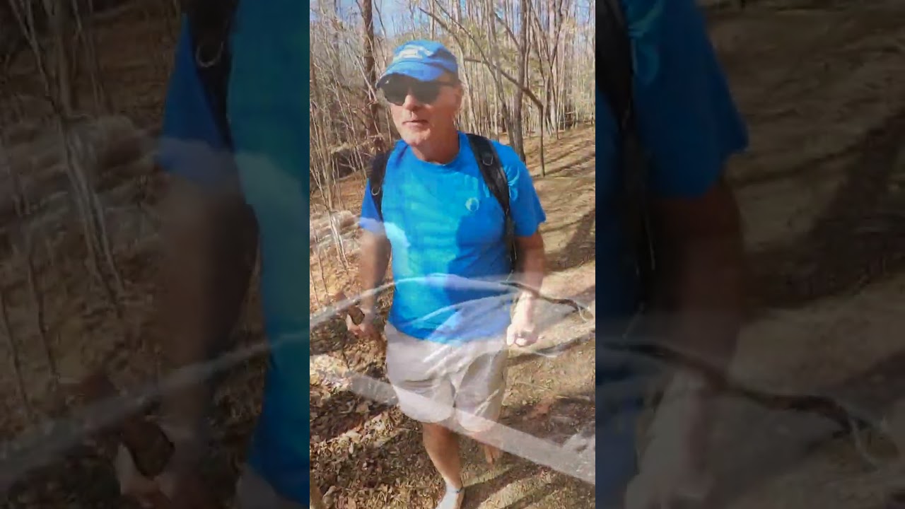 Divine Alignment: Repentance and Renewal in Nature's Sanctuary