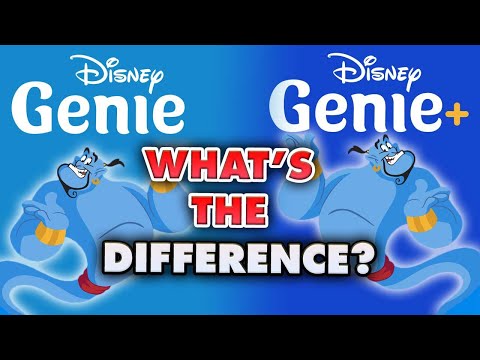Video: Help Me Understand Disney Genie