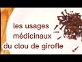 Les usages médicinaux des clous de girofle