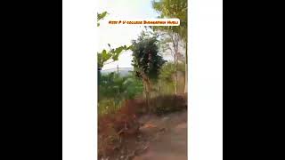 Ksss Pu College Hubli
