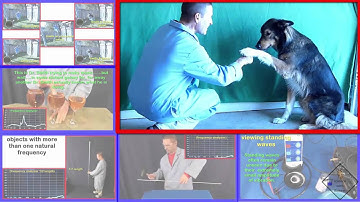 funny introduction resonance a science with bobert video short