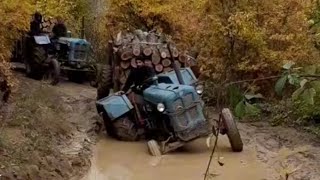 Starim Traktorima Kroz Veliku Vodu I Blato Voze Drva Iz Šume