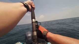 Light tackle Sailfish in Rompin - Malaysia
