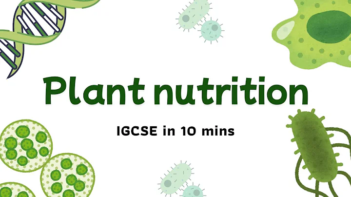 Plant Nutrition Explained in 10 Minutes | IGCSE Biology Chapter 6