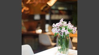 Smart Backdrops for Dinner Dates