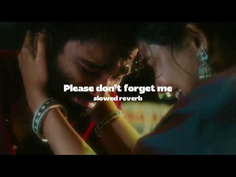 Please don't forget me slowed reverb (from ‘dude’)
