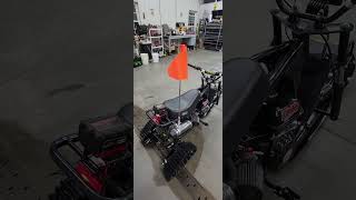 Coleman RB200 Track Trike