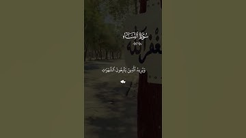 والله يريد أن يتوب عليكم| القارئ #ياسر_الدوسري|تلاوة هادئه ومريحة 😴🤍#قران_كريم #راحة_نفسية
