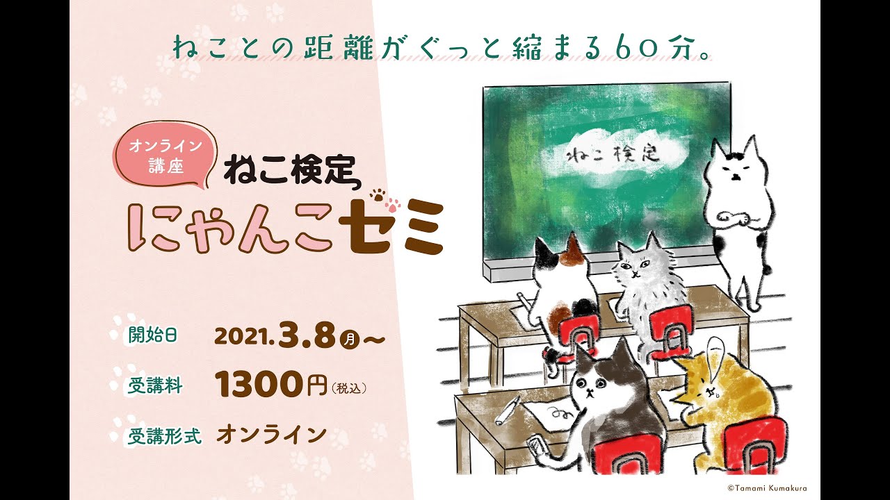 にゃんこゼミ ねこ検定 公式サイト にゃんこゼミ ねこ検定 公式サイト