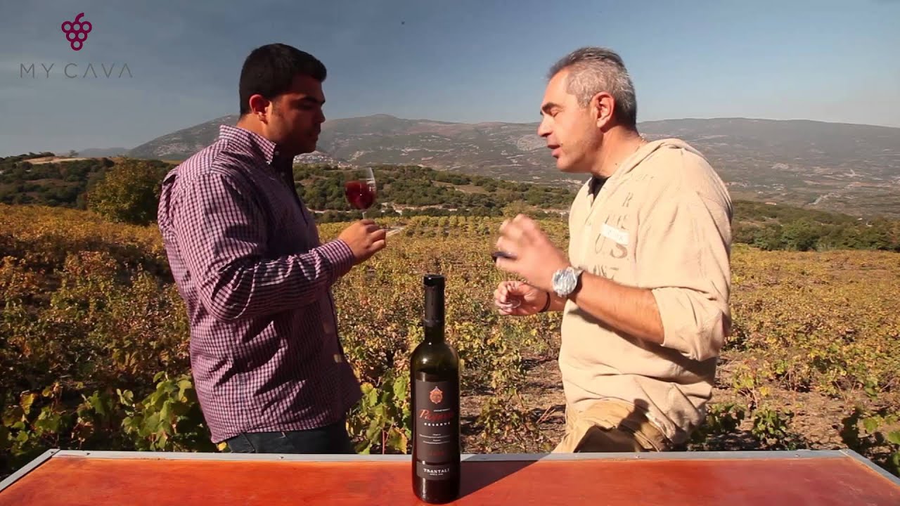 Τσάνταλης | Tsantalis - Ραψάνη Reserve | Rapsani Reserve - MYCAVA.gr