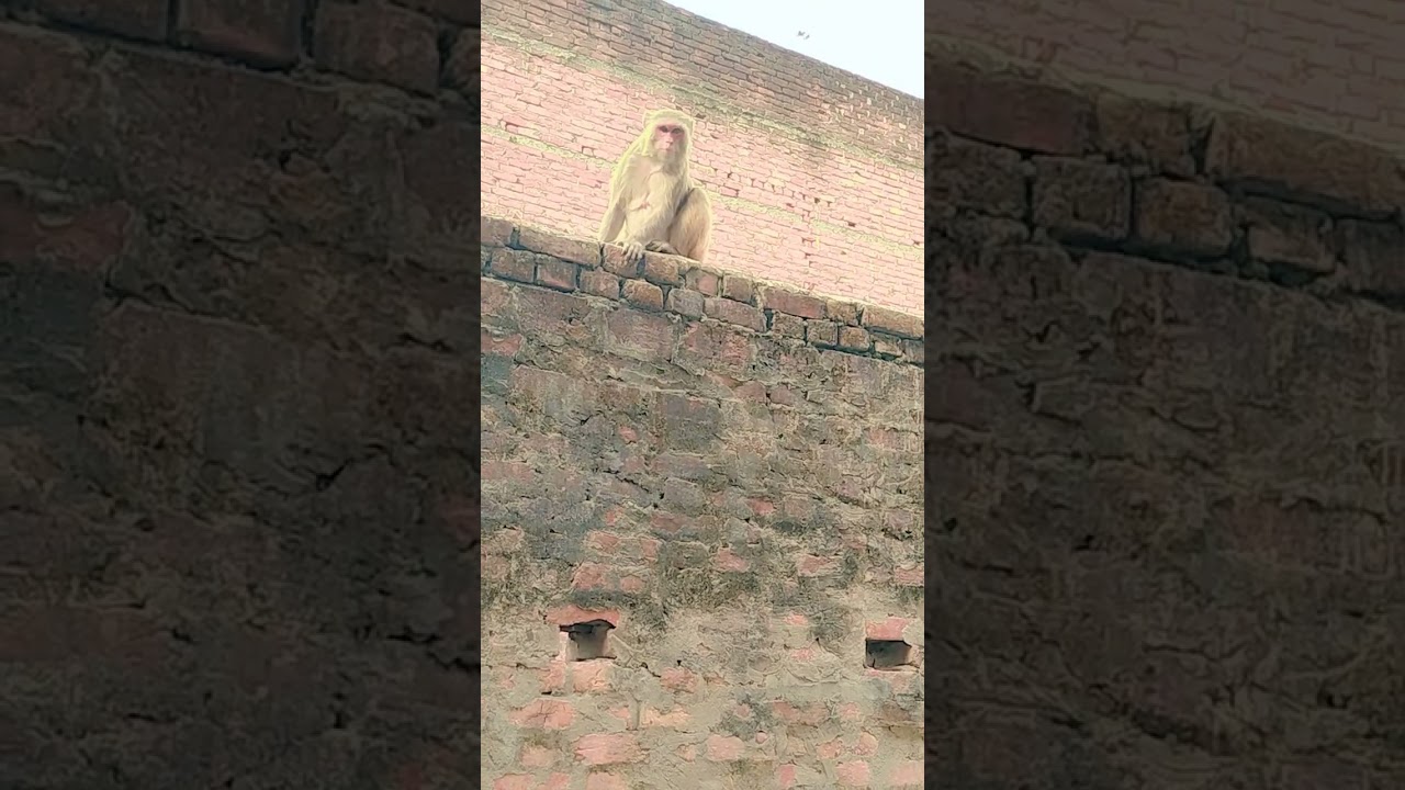 इस भीषण गर्मी में इंस्टाग्राम के फिल्टर में बच्चा रखी है🤣😂🥵🥵 