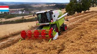 Harvesting organic peas | Claas Avero 240 // Claas C450 | Luxembourg 2026
