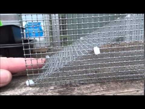 Homemade Crayfish Trap 