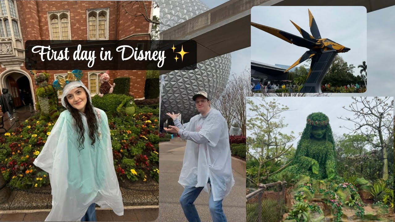 Turning my boyfriend into a Disney Adult