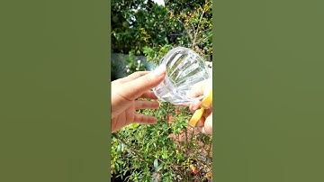 Mẹo mài kéo cùn thành sắc bén #meohay #meo #meovat #toantrainghiem