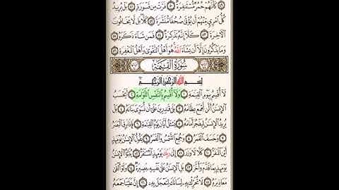 تلاوة سورة القيامة - للشيخ سالم الطويل