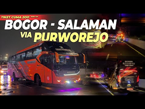 TARIF MURAH DAPAT KURSI SINGLE, TAPI KOK..... ❓❗Trip Handoyo Captain Seat Seri S Bogor  -  Salaman