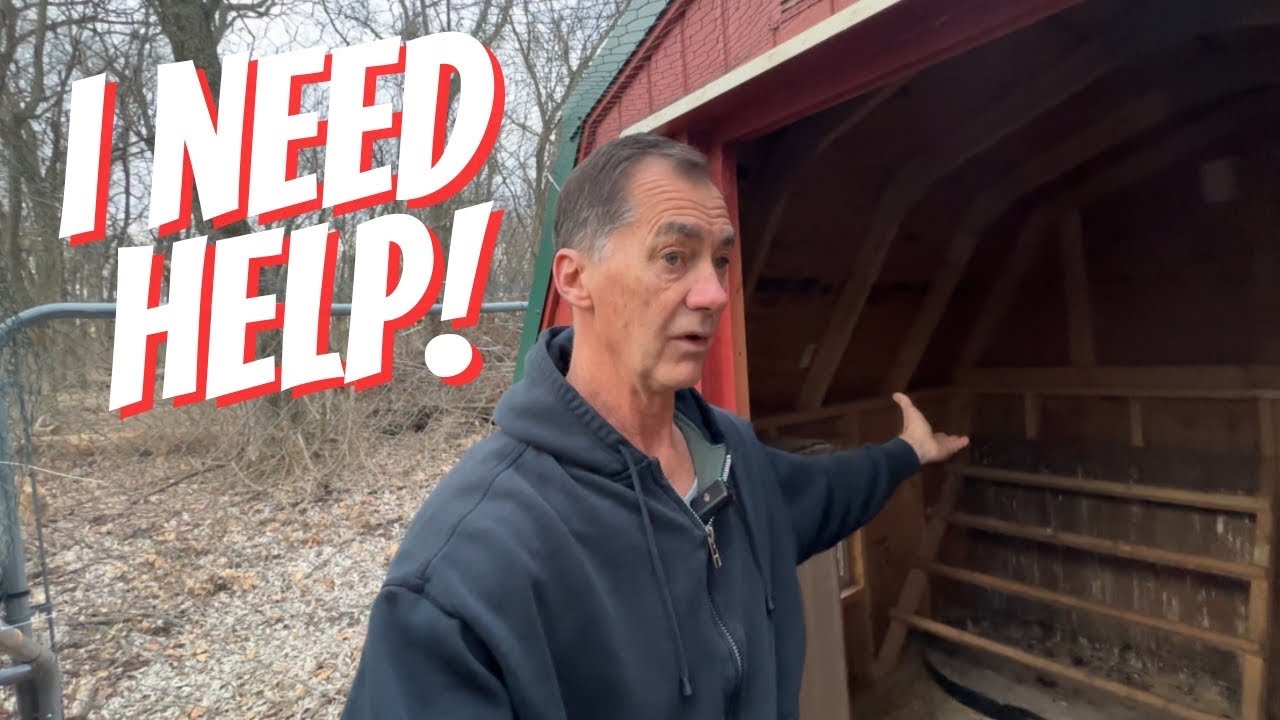 Why Aren’t My Chickens Roosting? YouTube