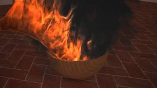 Fire in bowl - FumeFX with 3DS Max and VRay