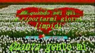 Piccolo fiore1