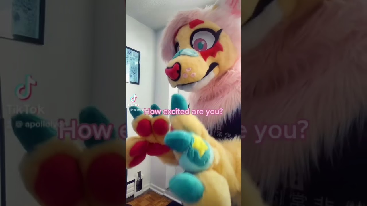 So soon! It’ll be my first Furry Con #fursuiter #fursuit #fursuiting #furrycon